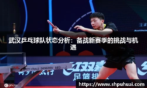 武汉乒乓球队状态分析：备战新赛季的挑战与机遇